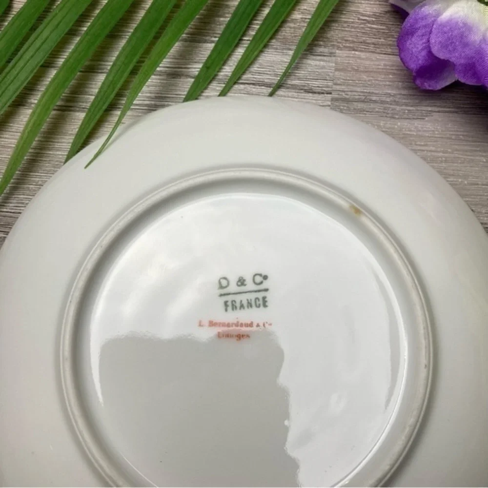 Delinieres & Co. French Limoges 💋antique vintage